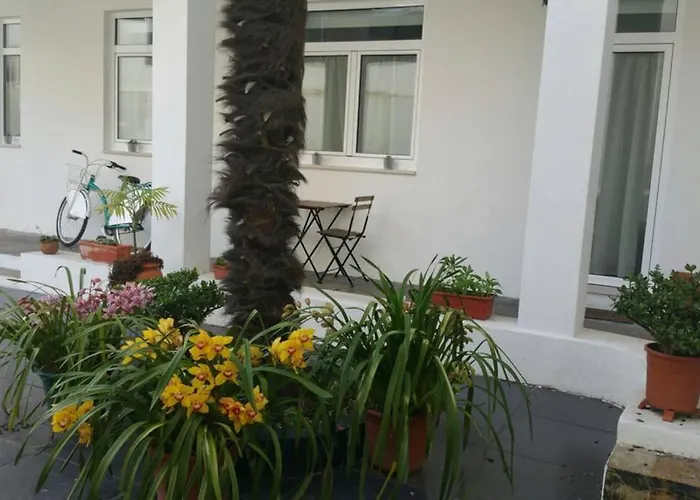 Daire Dos Cagareus Ii