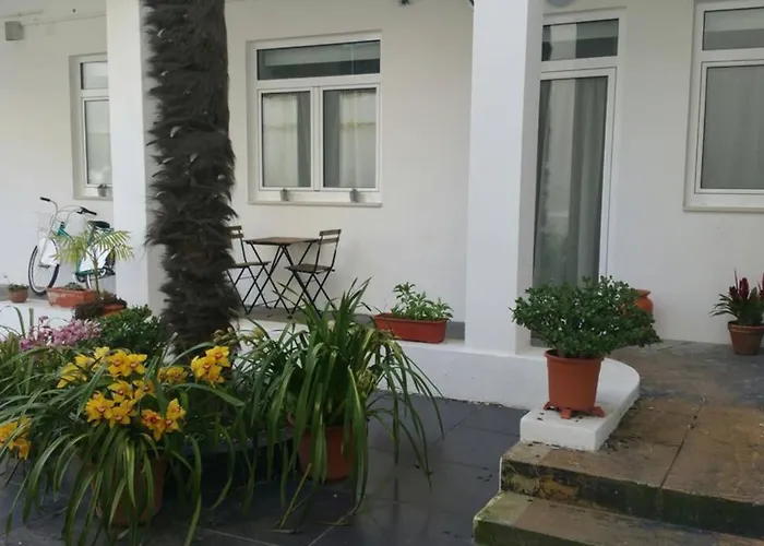 Daire Dos Cagareus Ii Aveiro